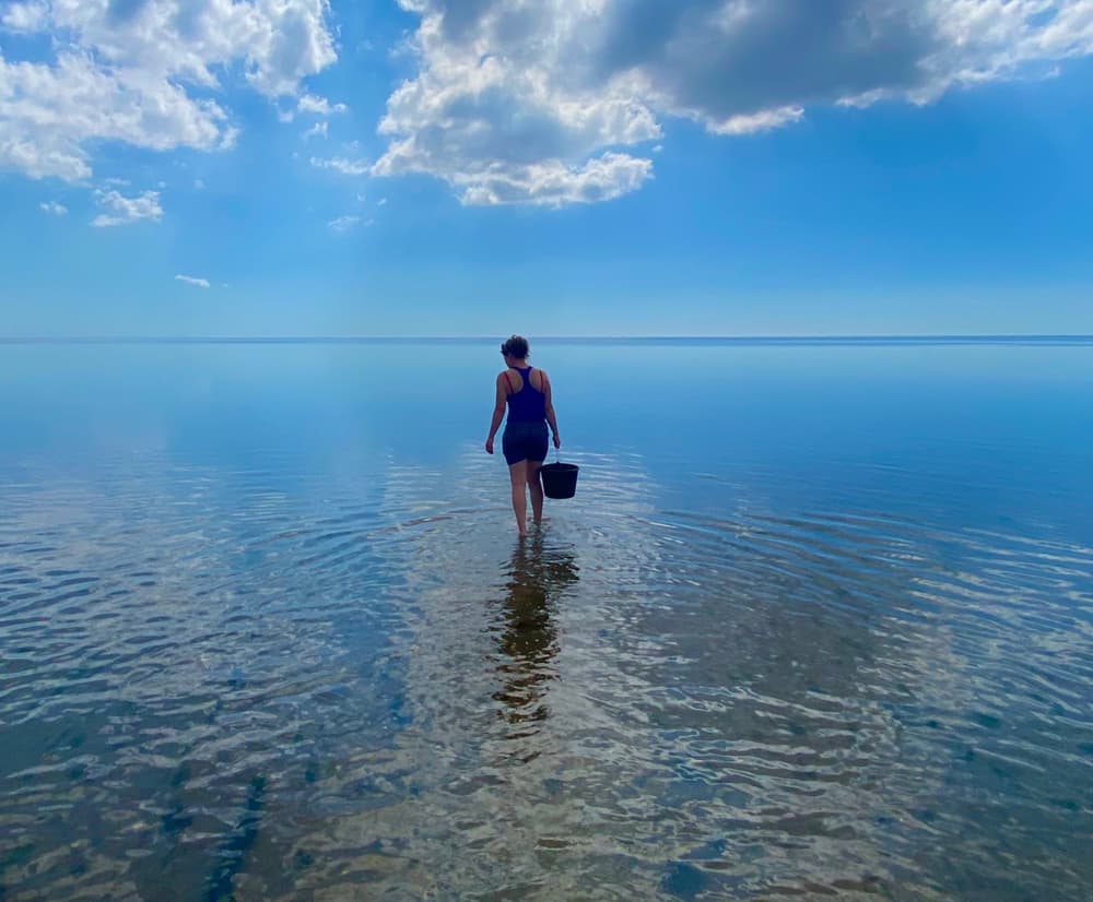 Guest wading through shallow, mirror-calm Wadden Sea water